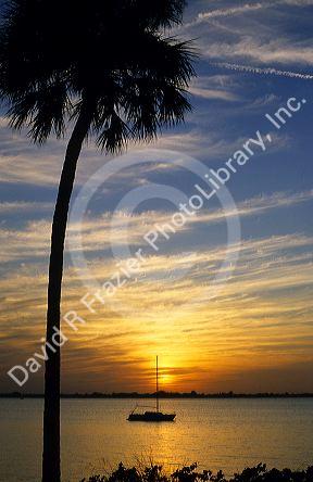 A sailboat at sunset in Melborne, Florida.