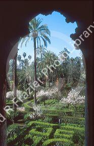 Arched view of the gardens at Alcazar in Seville, Spain.