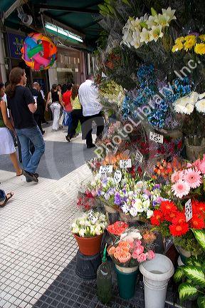 Flower vendor display and street scene in Buenos Aires, Argentina.
