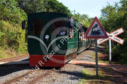 Green Train of The Jungle at Iguazu, Argentina.