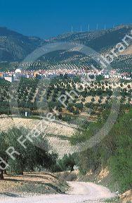 Olive groves and white village north of Granada, Spain.