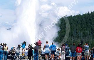 Tourists visiting Old Faithful Geyser during eruption in Yellowstone National Park, Wyoming.