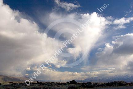 Snow squall in the Owens Valley, California.