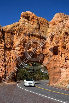 Sandstone rock formation in the Red Canyon of the Dixie National Forest near Bryce National Park, Utah.