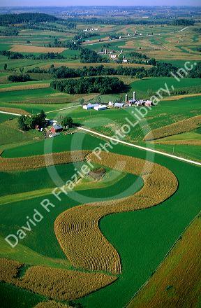 Corn and alfalfa strip farm in Southwest Wisconsin.