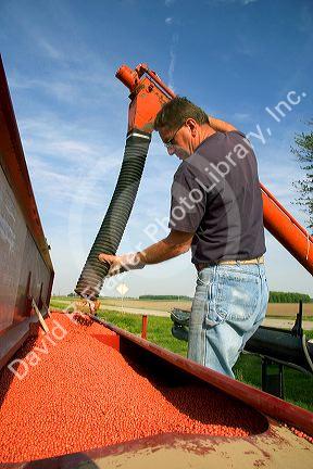 Farmer loading a planter with soy bean seeds near Defiance, Ohio.
