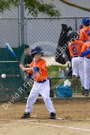 Little League baseball player at bat in a game at Morgan Hill, California.