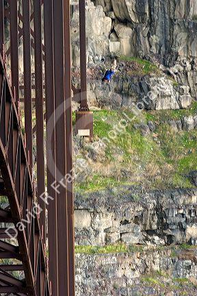 Base jumping off of Perrine Memorial Bridge in Twin Falls, Idaho.