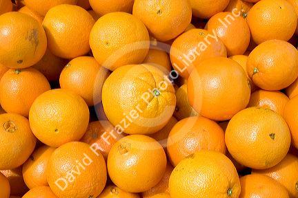 Oranges on display at a fruit stand in Morgan Hill, California.