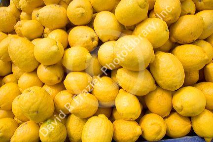 Lemons on display at a fruit stand in Morgan Hill, California.