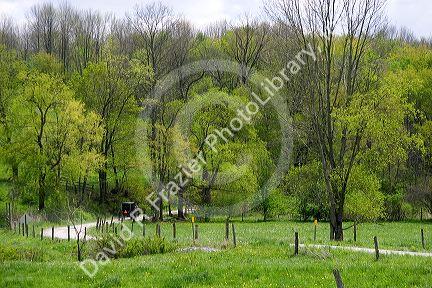 Amish horse and buggy near Berlin, Ohio.
