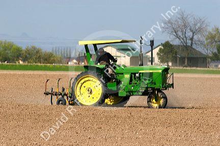 A tractor spring tilling a crop in Canyon County, Idaho.