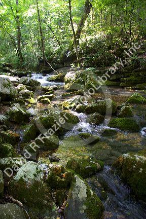 Stream flowing out of Blanchard Cavern in the Ouachita National Forest of Arkansas.