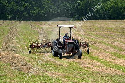 A young boy driving a tractor harvesting Timothy Hay near Conway, Arkansas.