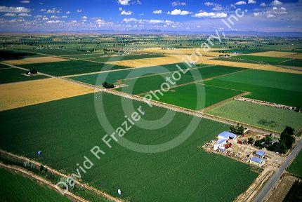 Aerial view of farmland in Canyon County, Idaho.