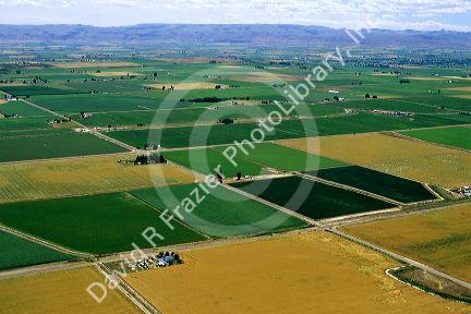 Aerial view of farmland in Canyon County, Idaho.