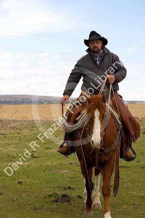 A cowboy on horseback in Idaho.