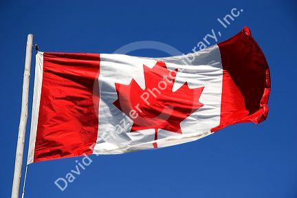 Canadian flag.