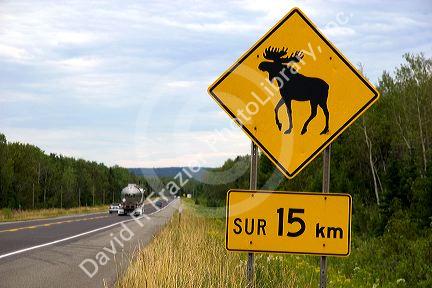 Moose crossing road sign along highway 189 in South East Quebec, Canada.