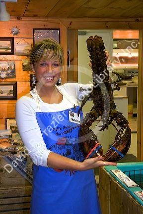 Woman holding a large lobster at Halls Harbor, Nova Scotia, Canada. MR