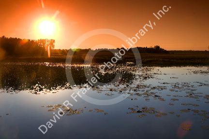 Sunset at Swan Lake National Wildlife Refuge in Sumner, Missouri.