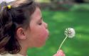 Seven year old girl blowing the seeds from a dandelion.  MR