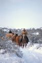 Idaho rancher moves horses during winter snows.