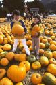 Two young boys holding pumpkins in a pumpkin patch.