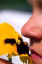 Close up image of a childs nose smelling a flower.