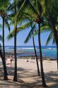 Palm trees and a beach scene at Kahaluu Park on the big island of Hawaii.