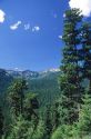Cascade mountain range in Washington.