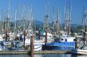 Fishing boats docked in Newport, Oregon.