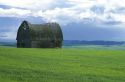 An old broken down barn on farmland in Grangeville, Idaho.