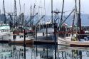 Commercial fishing boats docked at Newport on the Oregon Coast.