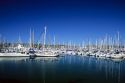 Sailboats docked in the Shelter Island marina in San Diego Harbor, California.