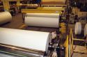 Rolls of paper at a mill.   A step in manufacturing of paper.