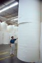Large rolls of toilet paper inside a mill.