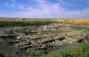 Archeological dig in Tolo Lake, Idaho.
