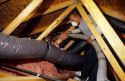 A worker insulates the attic space around a duct in a new home with blown in insulation.