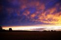 Farmland in Canyon County Idaho at sunset.