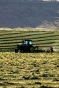 A tractor raking harvested hay in Grandview, Idaho.