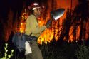 A firefighter working to put out the Cub Creek forest fire near Lowman, Idaho.