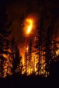 The Cub Creek forest fire near Lowman, Idaho.
