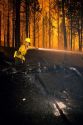 A firefighter working to put out a forest fire in Yellowstone National Park, Wyoming during the historic 1988 blaze.