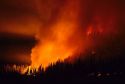 A forest fire at night in the Boise National Forest, Idaho.