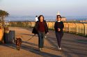 Women walking a dog with red brick lighthouse in the background at Santa Cruz, California.