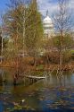 Beaver pond at the National Museum of American Indian with the United States Capitol Building in the background in Washington, D.C.