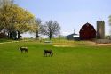 Red barn and horses on a farm at Onondaga, Michigan.
