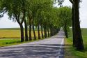 Tree lined highway near Luneville, France.