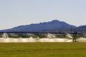 Sprinkler pivot irrigation near Bellevue, Idaho.